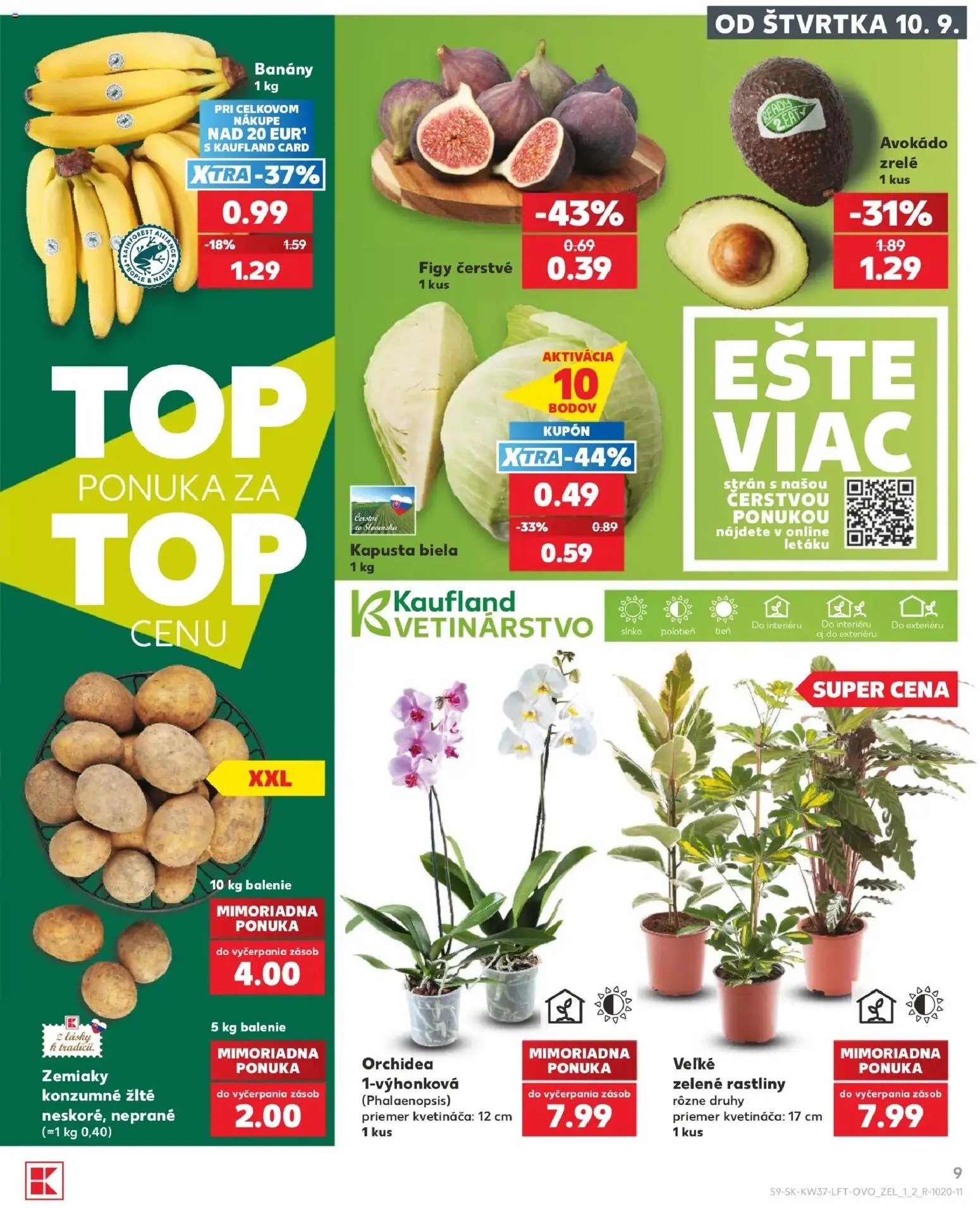 Nové Kaufland akcie – leták je platný od 10.09.2026 | Strana: 9 | Produkty: Kapusta, Figy, Kapusta biela, Orchidea