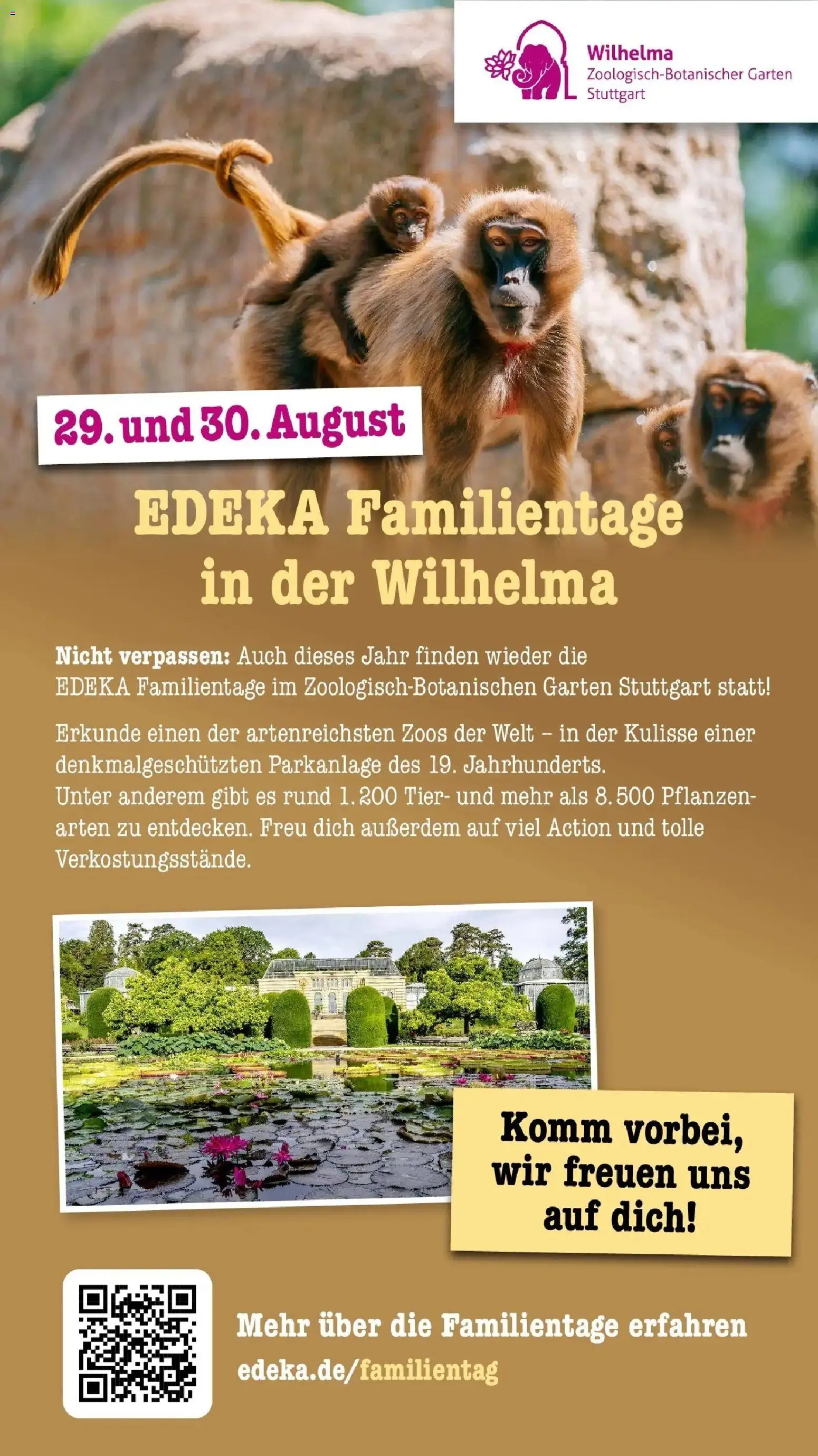E center Prospekt Achern (ab 24.08.2026) zum Blättern | Seite: 66