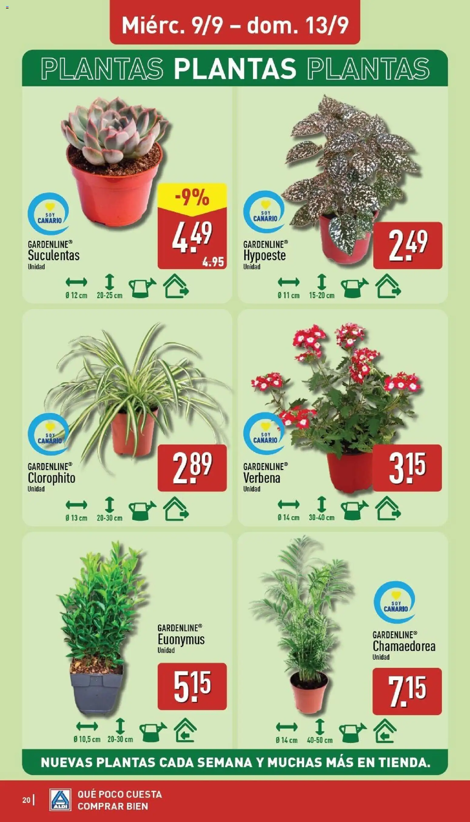 Aldi folleto Canarias │ válido desde el 07/09/2026 | Página: 20