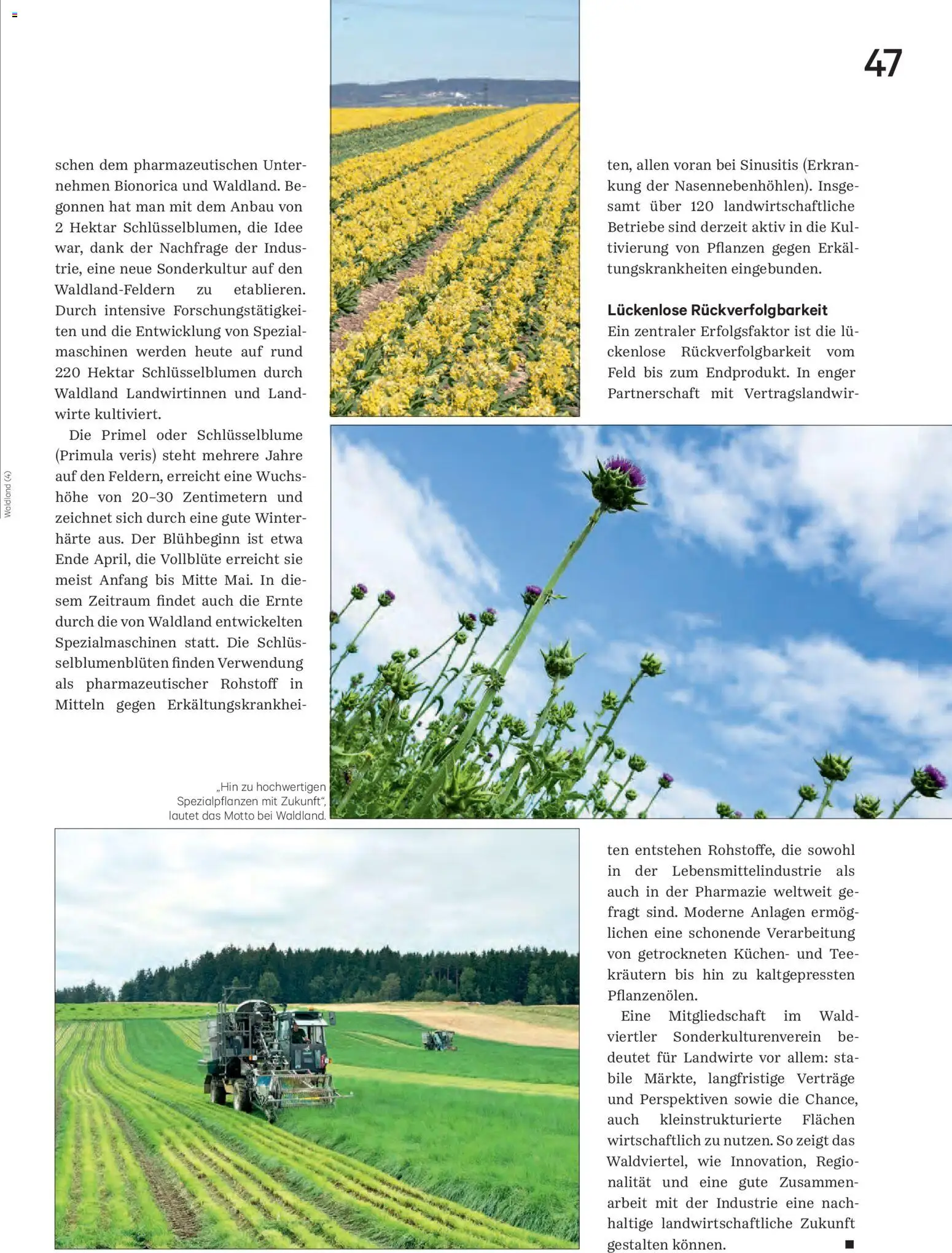 Lagerhaus Unser Land Juni 2026 gültig ab 01.06.2026 | Seite: 47 | Produkte: Tee