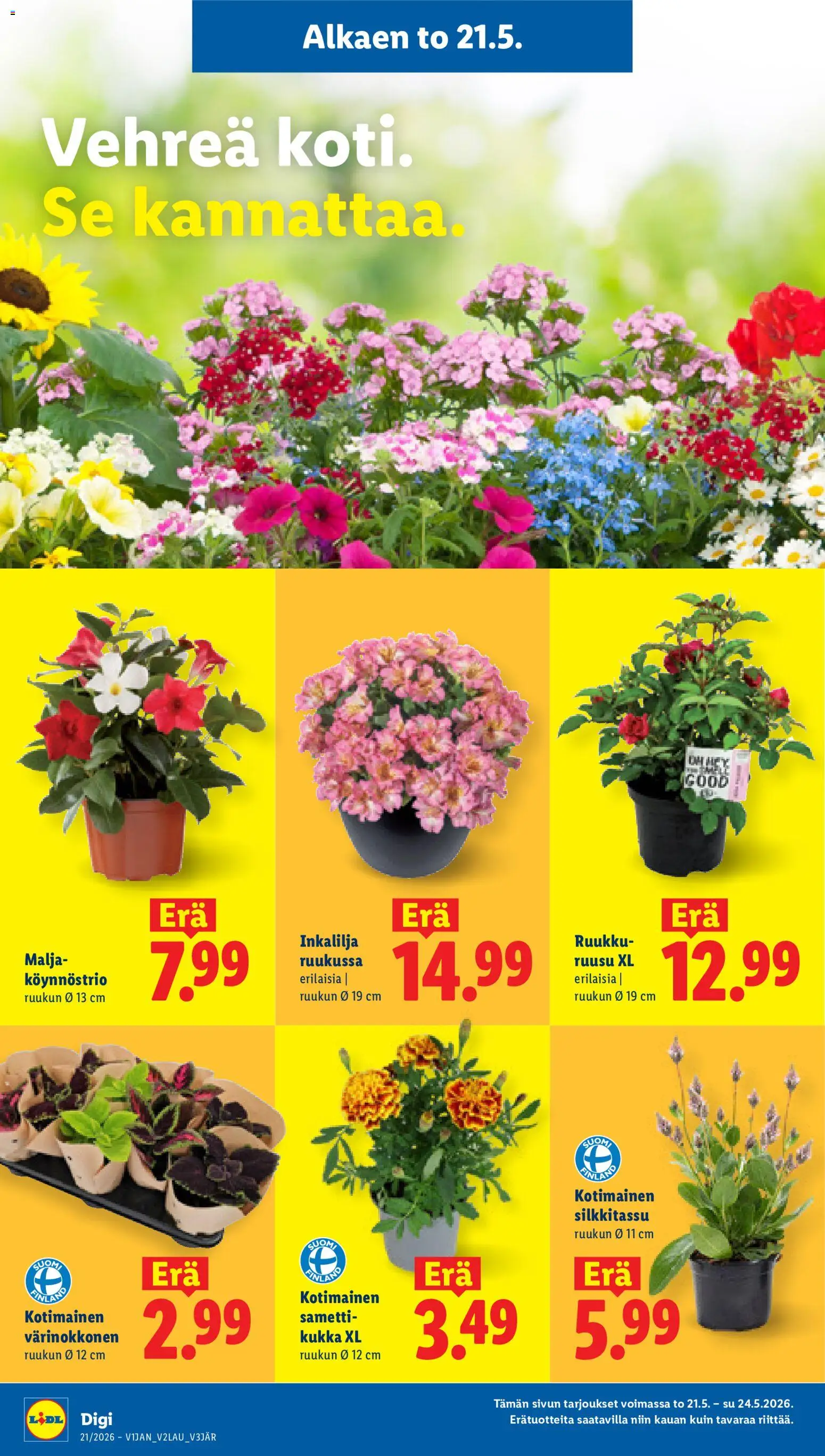 Lidl tarjoukset – voimassa 21.05.2026 alkaen | Sivu: 11