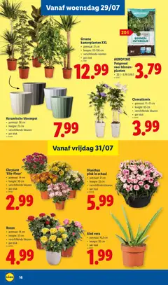 Lidl Folder week 31 - Voorbeeld van een folder van Lidl, geldig van 27/07/2026 | Pagina: 16