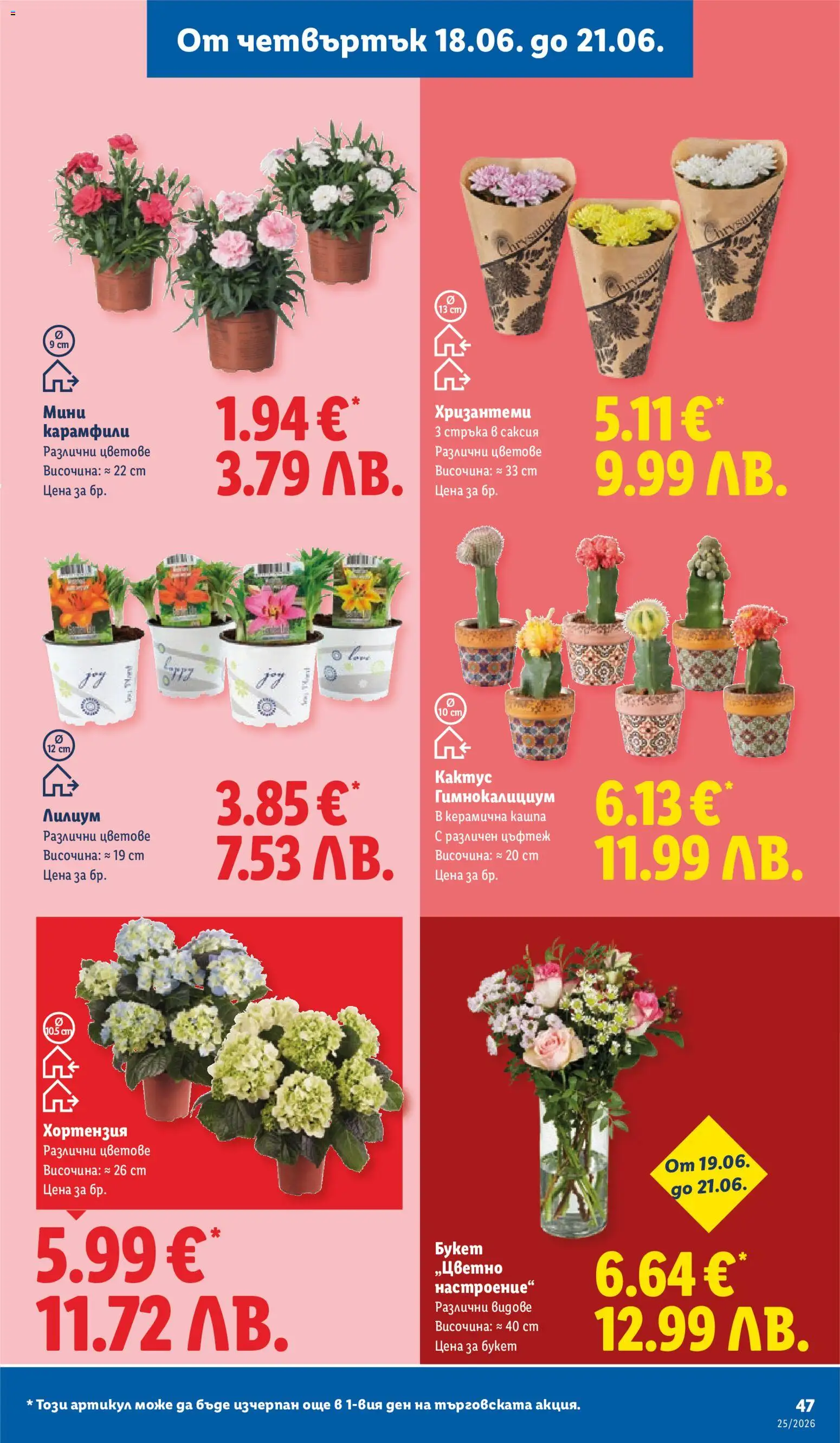 {H1} | Страница: 47 | Продукти: Кашпа, Саксия