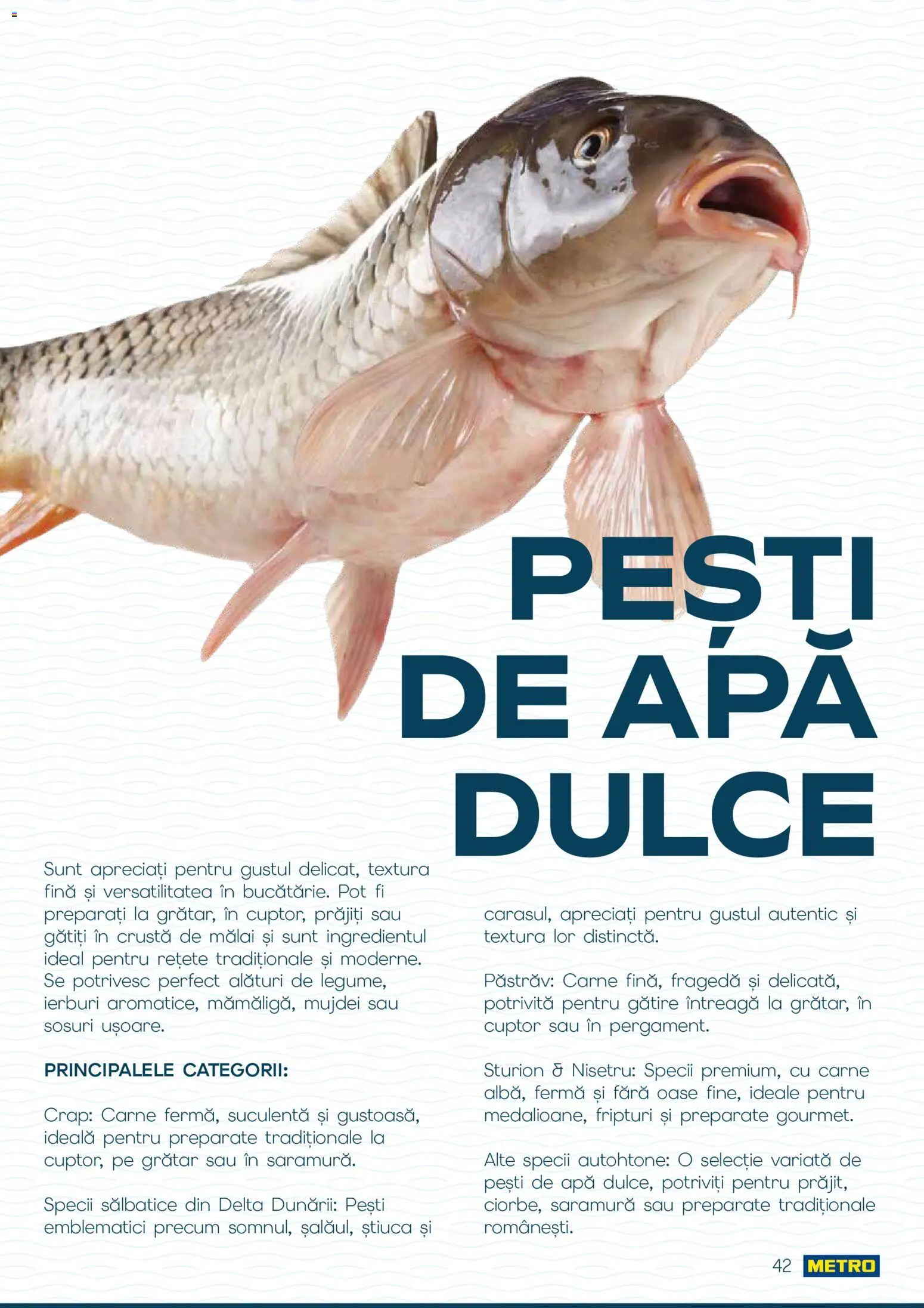 Noul catalog Metro – valabil de la 01.10.2026 | Pagină: 42 | Produse: Pastrav, Cuptor, Mălai, Apă