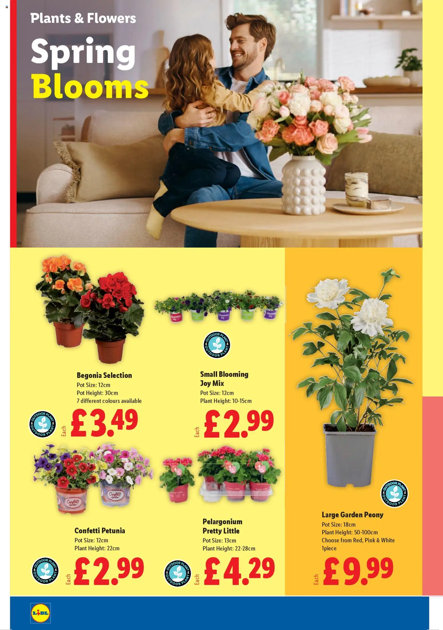 {H1} | Page: 20 | Products: Pot, Door, Petunia