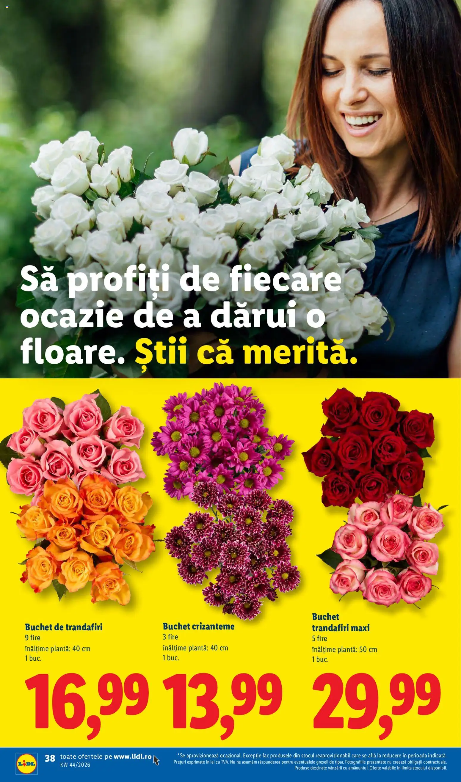 Noul catalog Lidl – valabil de la 26.10.2026 | Pagină: 38