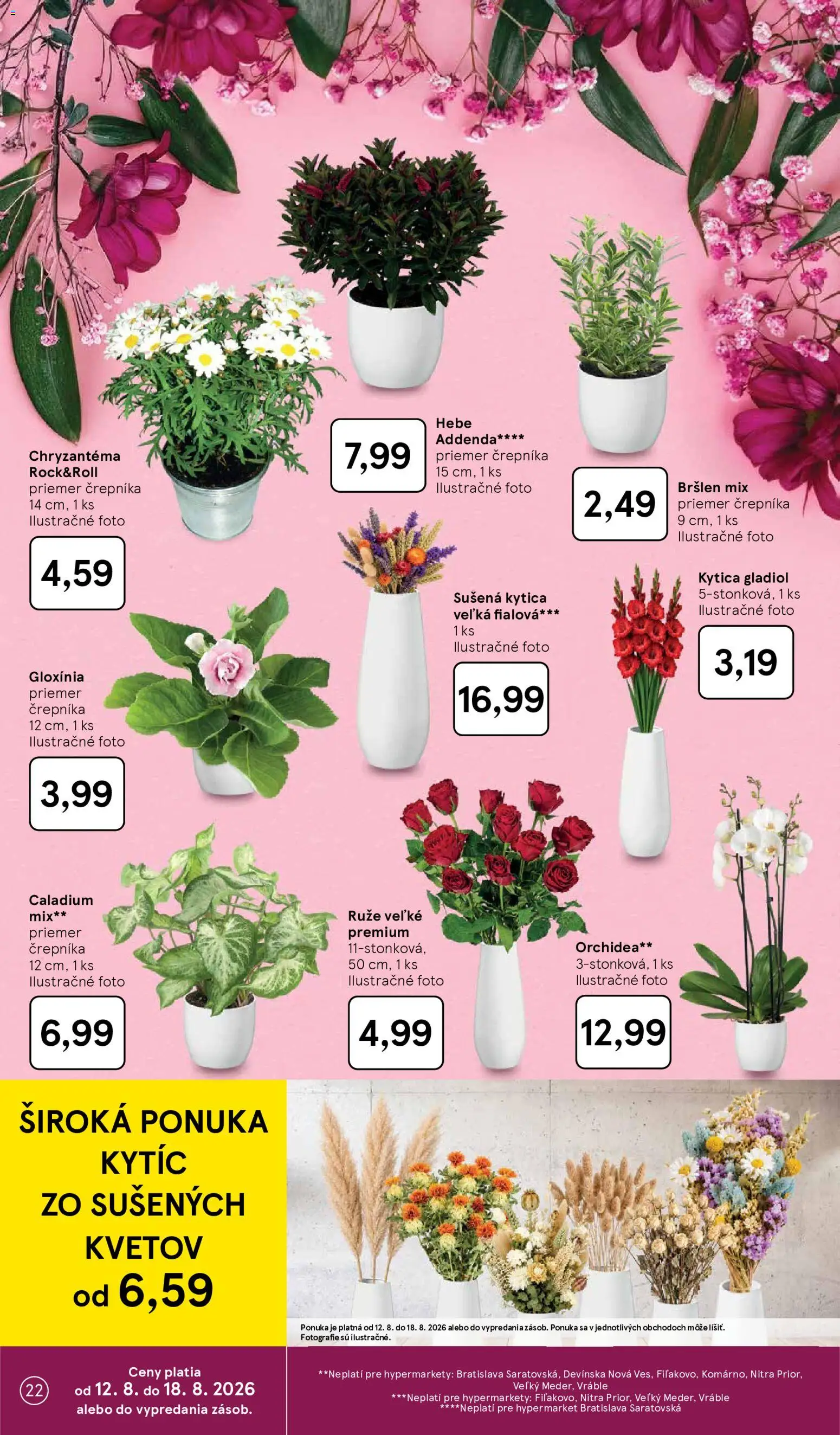 Nové Tesco akcie – leták je platný od 12.08.2026 | Strana: 22 | Produkty: Ruže, Orchidea