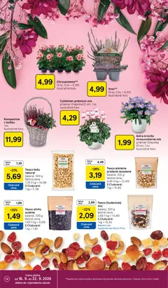 Tesco leták platný od 16.09.2026 | Strana: 14