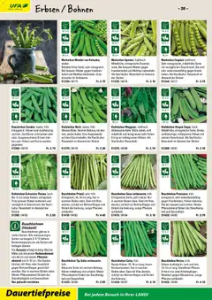 Landi ( Deaktivovane pre Letakomat )  Aktionen ab 07.01.2026 gültig | Seite: 22 | Produkte: Erbsen
