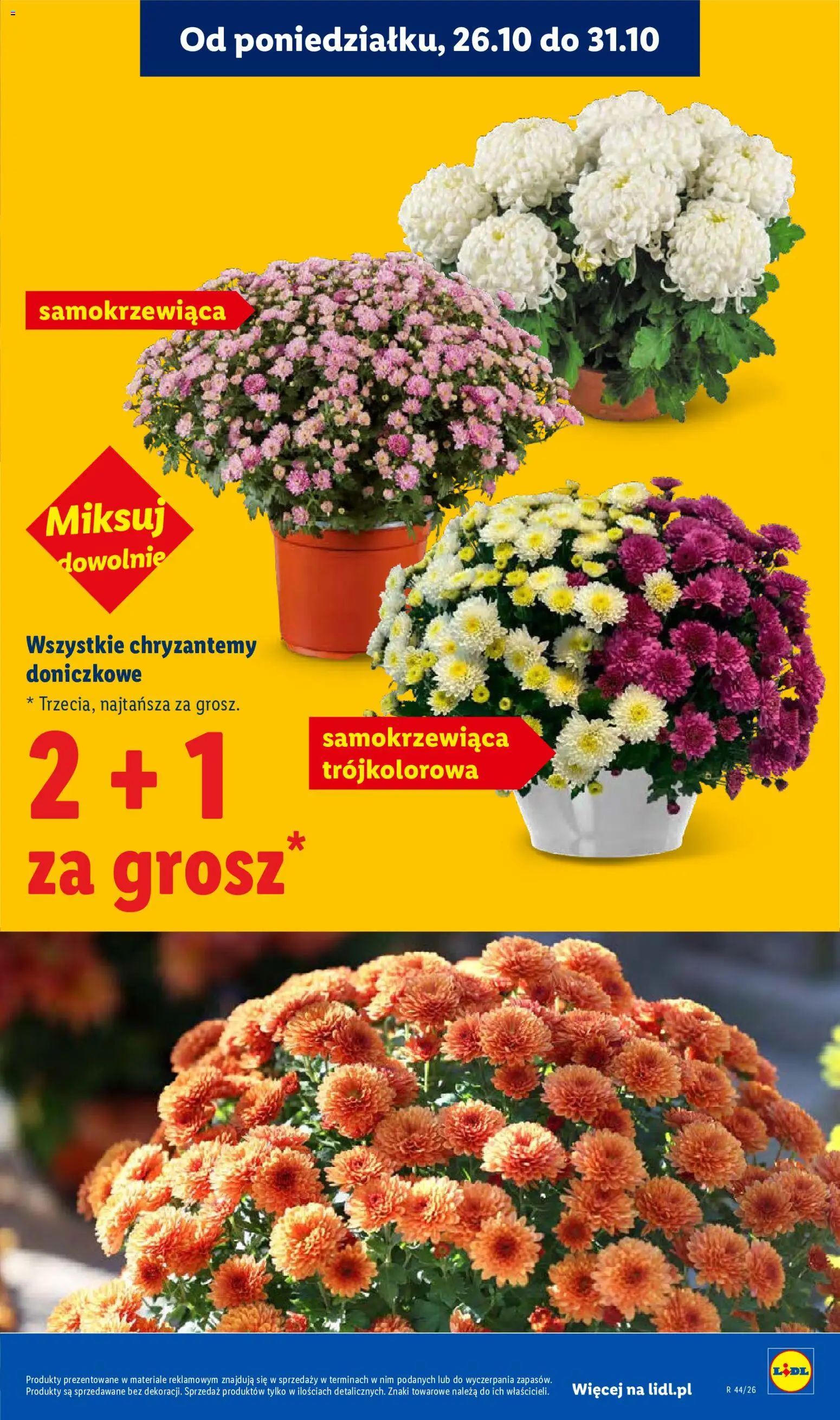 Lidl gazetka od 29.10.2026 | Strona: 5