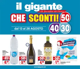 Anteprima del volantino Il Gigante volantino valido a partire dal 13/08/2026