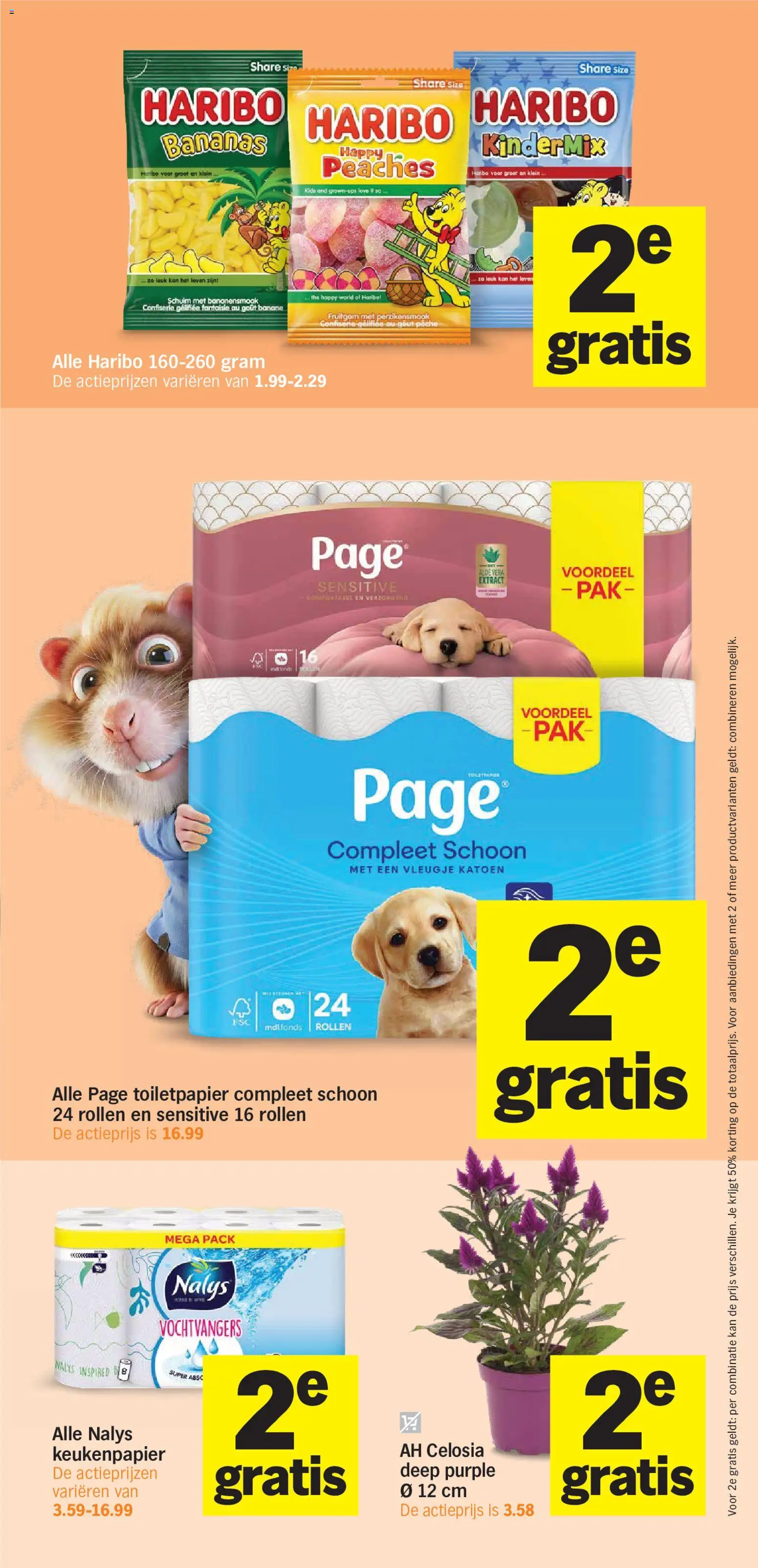 {H1} | Pagina: 10 | Producten: Kan, Schuim, Toilet, Toiletpapier