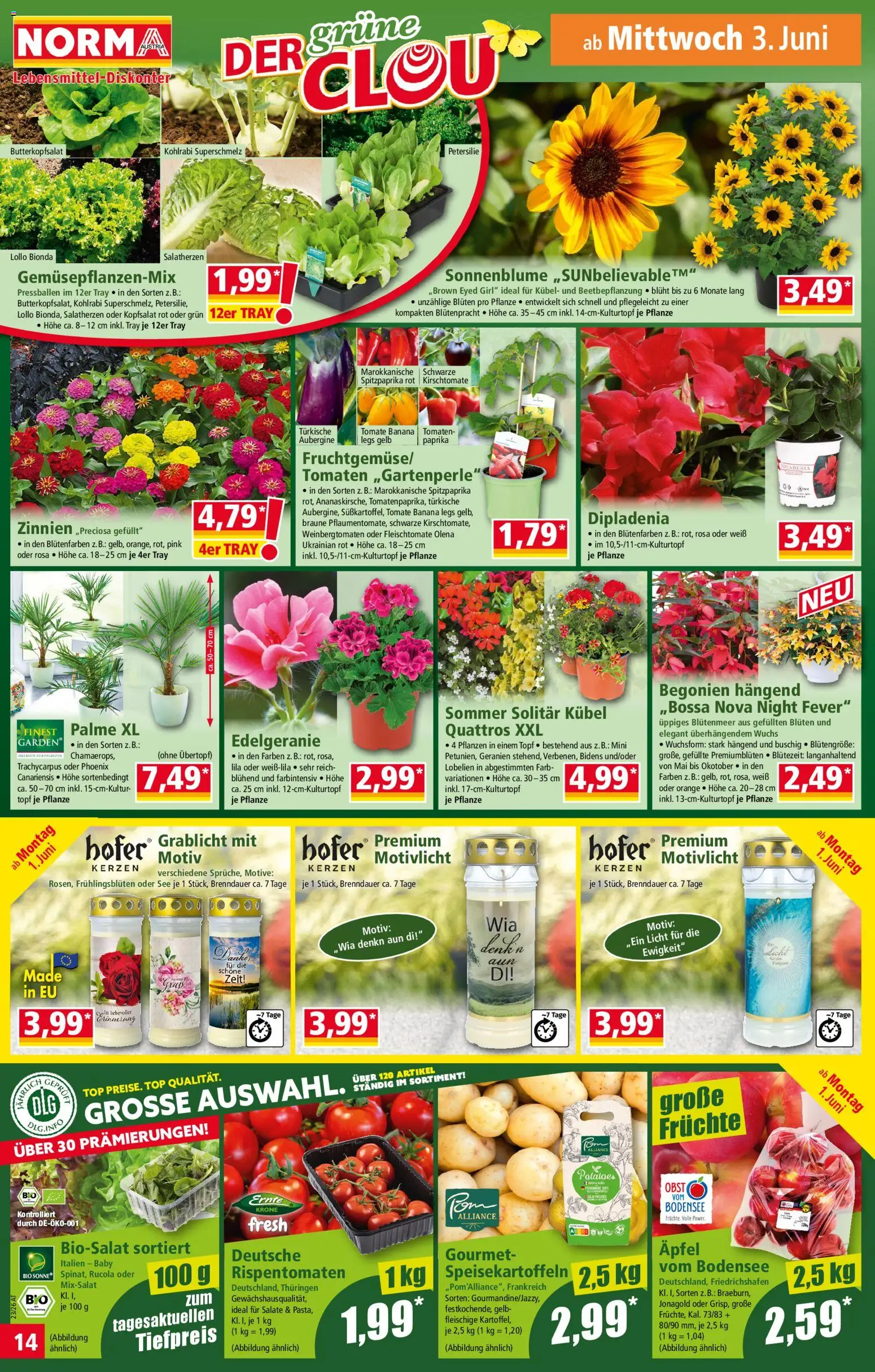 Norma Flugblatt gültig ab 01.06.2026 | Seite: 14 | Produkte: Obst, Aubergine, Äpfel, Tomaten