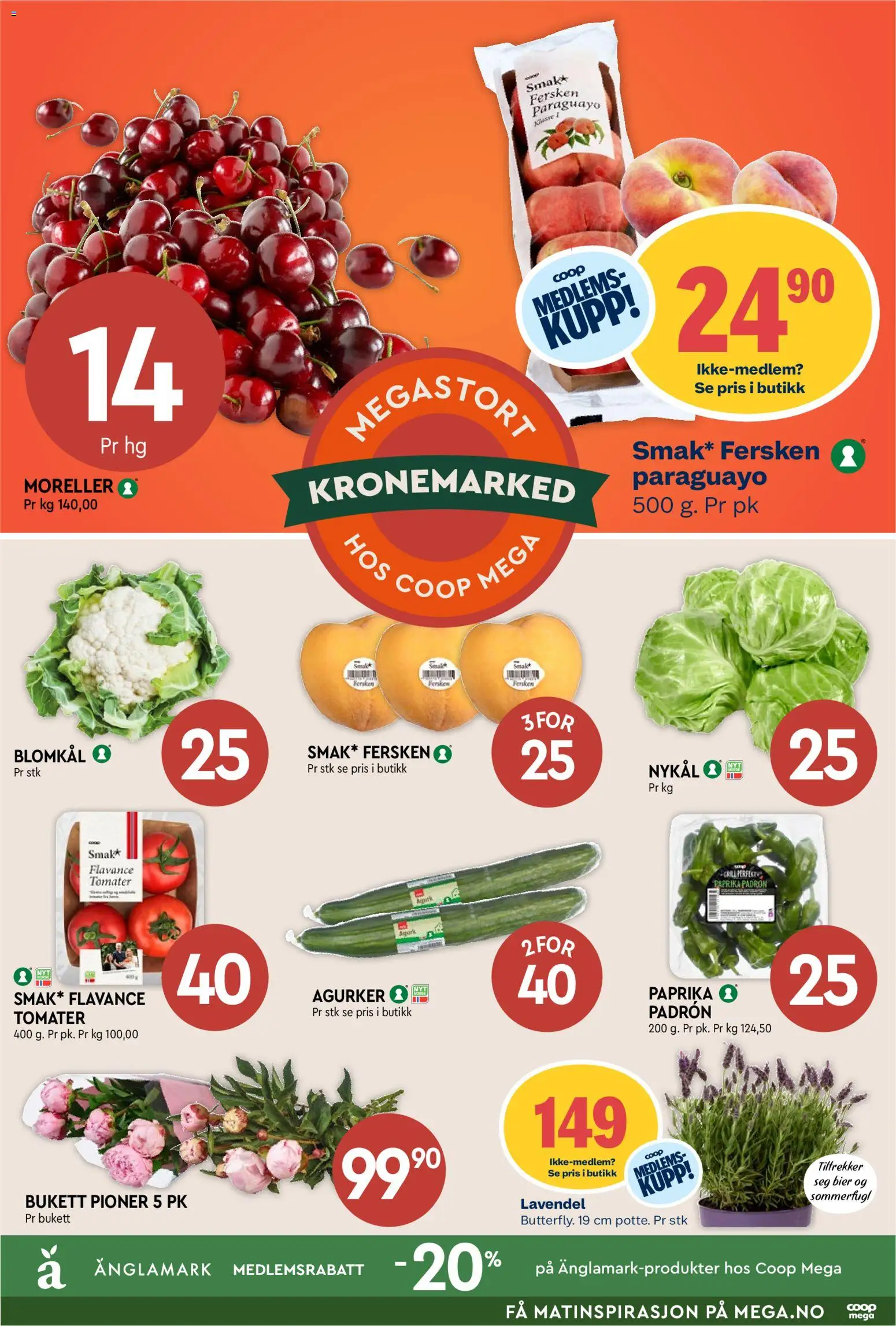 {H1} | Side: 7 | Produkter: Tomater, Fersken, Paprika, Blomkål