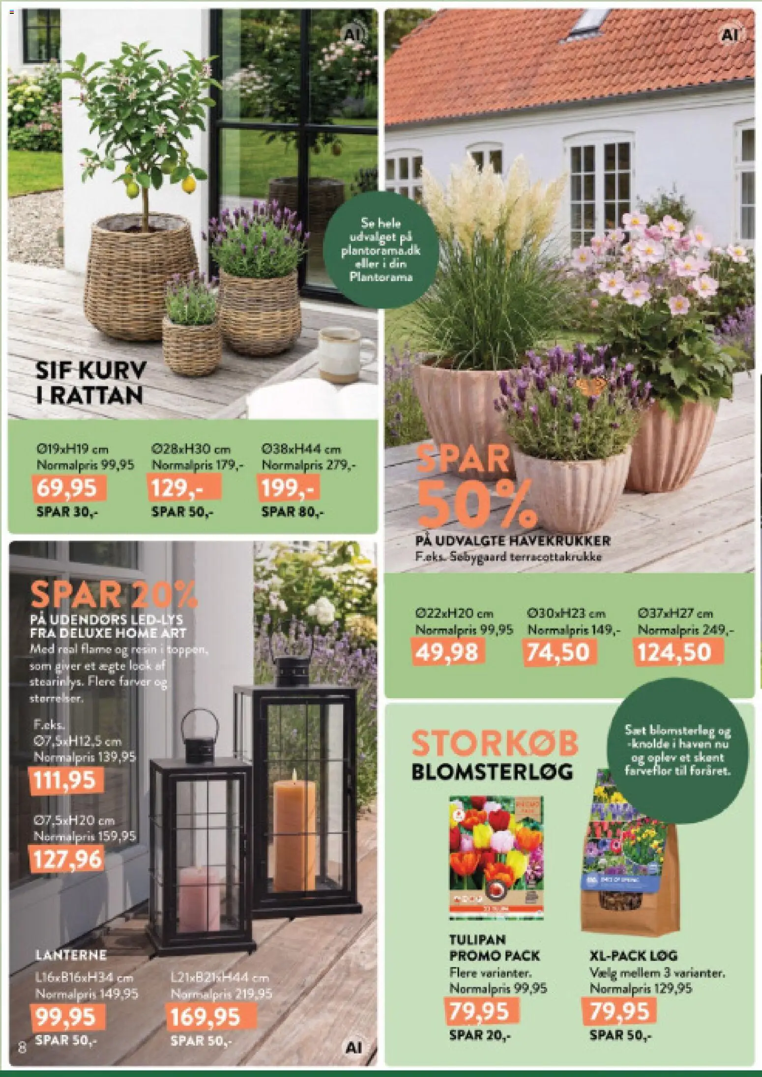 Plantorama tilbudsavis – gyldig fra 04/09/2026 | Side: 8 | Produkter: Løg, Kurv, Søm