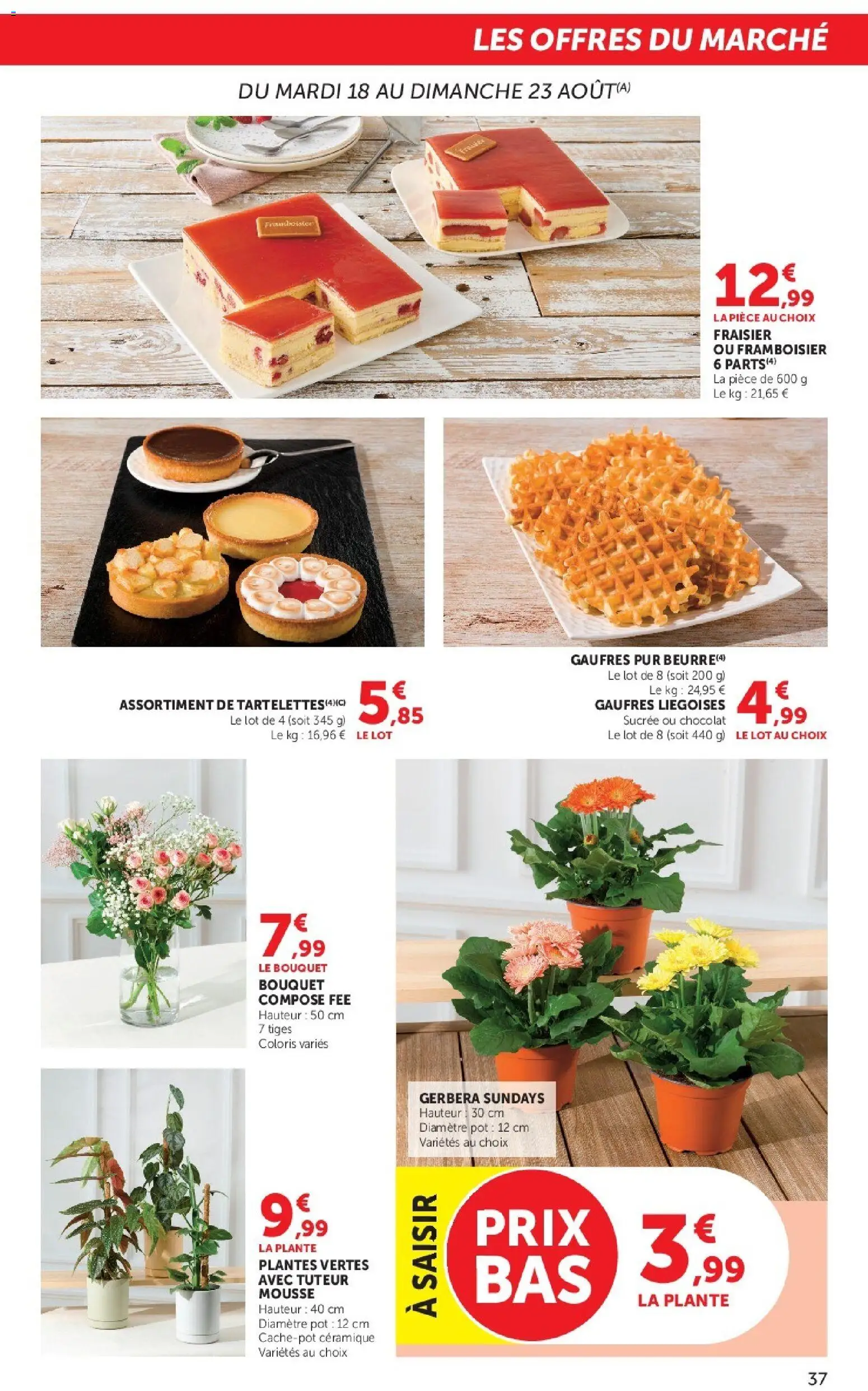 {H1} | Page: 37 | Produits: Mousse, Fraisier, Chocolat, Plantes vertes