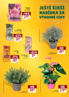 Náhled letáku Billa Velký leták od 09.09.2026 | Strana: 37 | Produkty: Rozinky, Goji, Semínka, Květináč