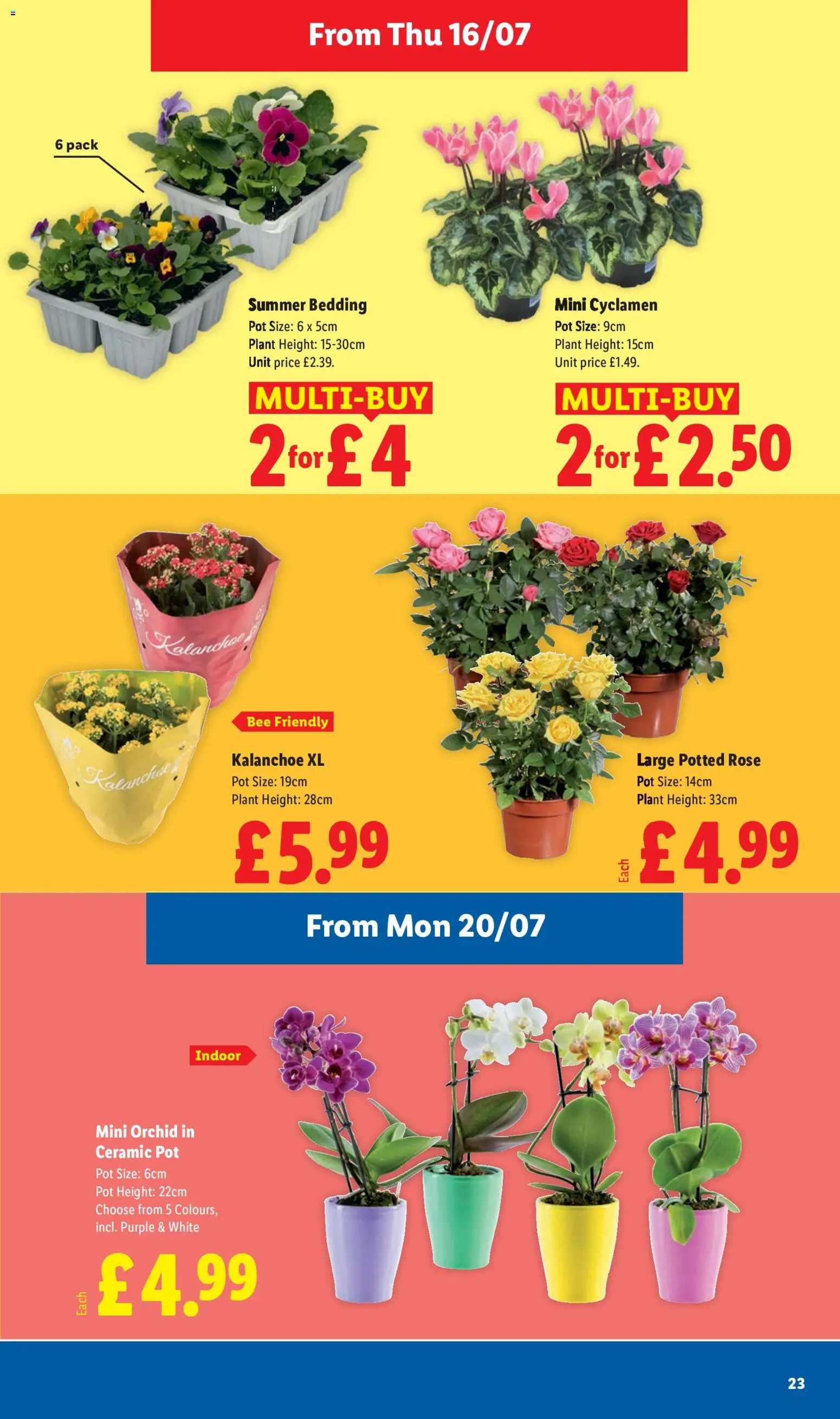 {H1} | Page: 23 | Products: Pot, Bedding, Ceramic pot, Orchid