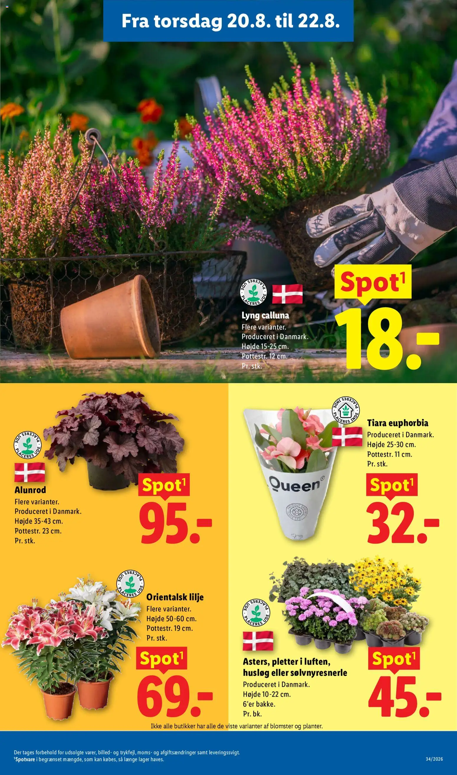 Lidl tilbudsavis – gyldig fra 16/08/2026 | Side: 34 | Produkter: Søm