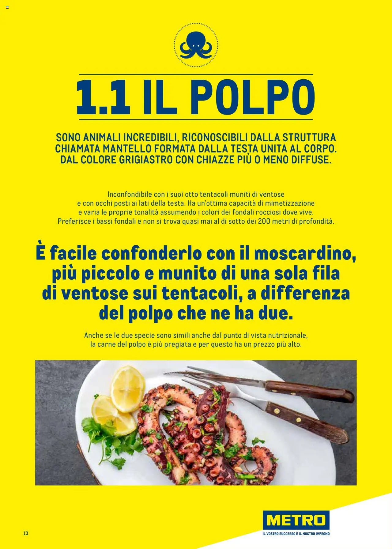 Volantino Metro del 30.06.2025 | Pagina: 13 | Prodotti: Polpo