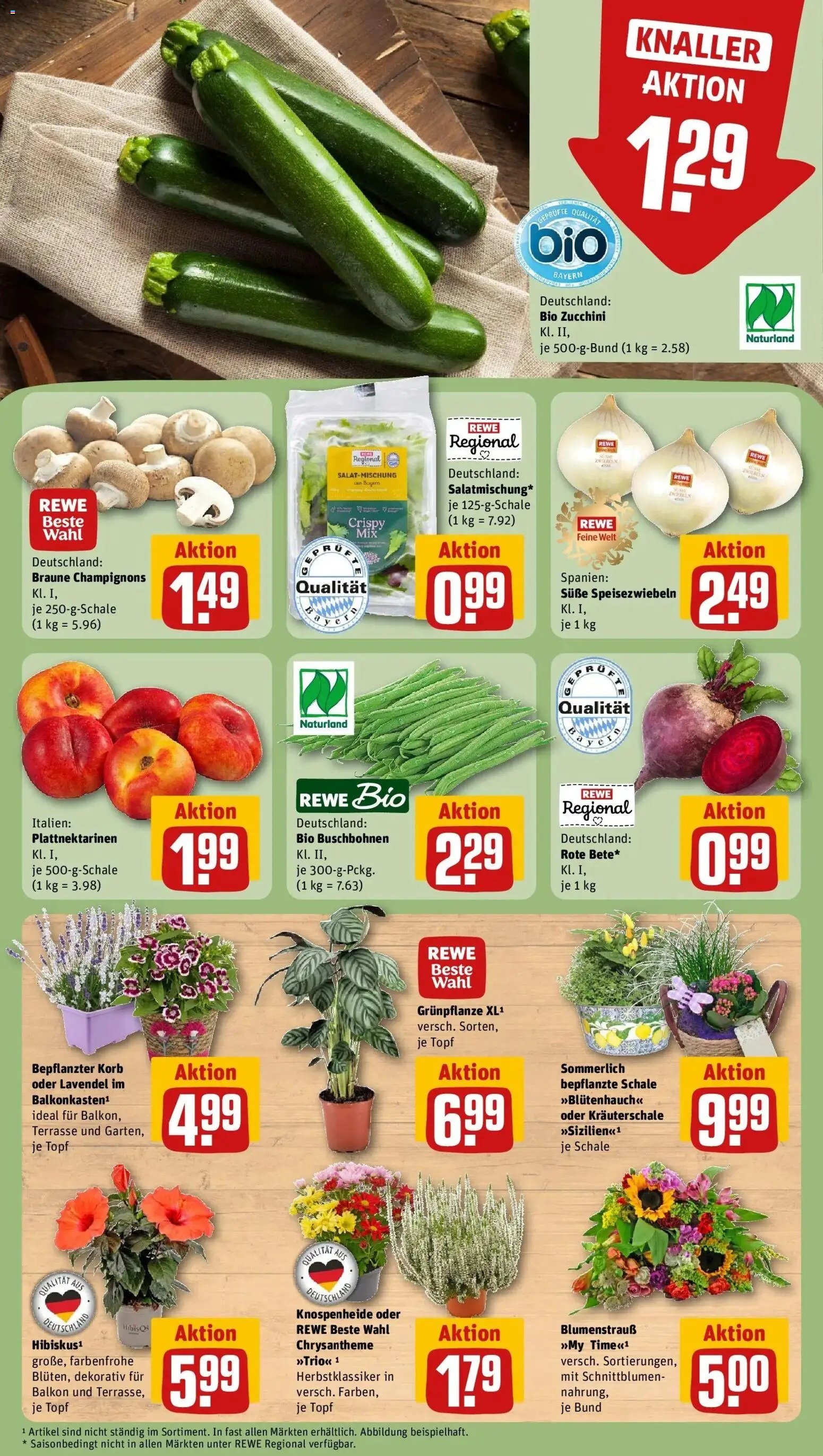 REWE Prospekt ab 17.08.2026 zum Blättern » Angebote | Seite: 9 | Produkte: Korb, Zwiebeln, Zucchini, Lavendel