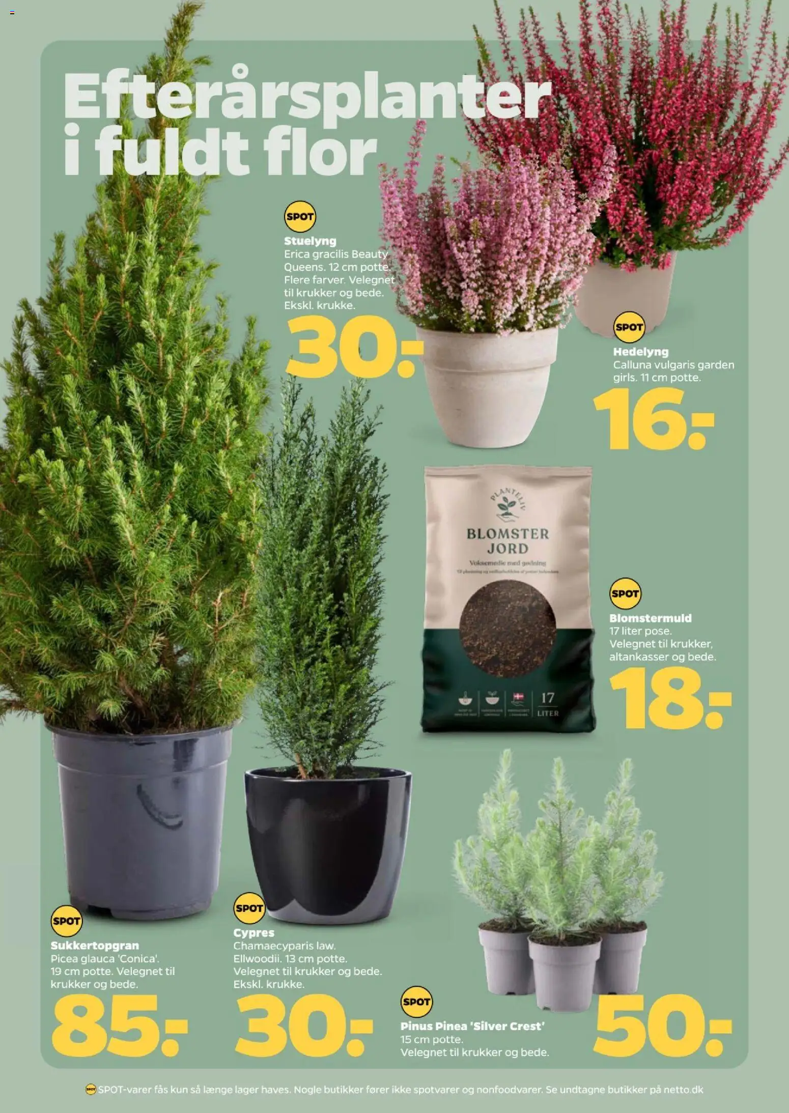 Netto tilbudsavis – gyldig fra 10/10/2026 | Side: 24