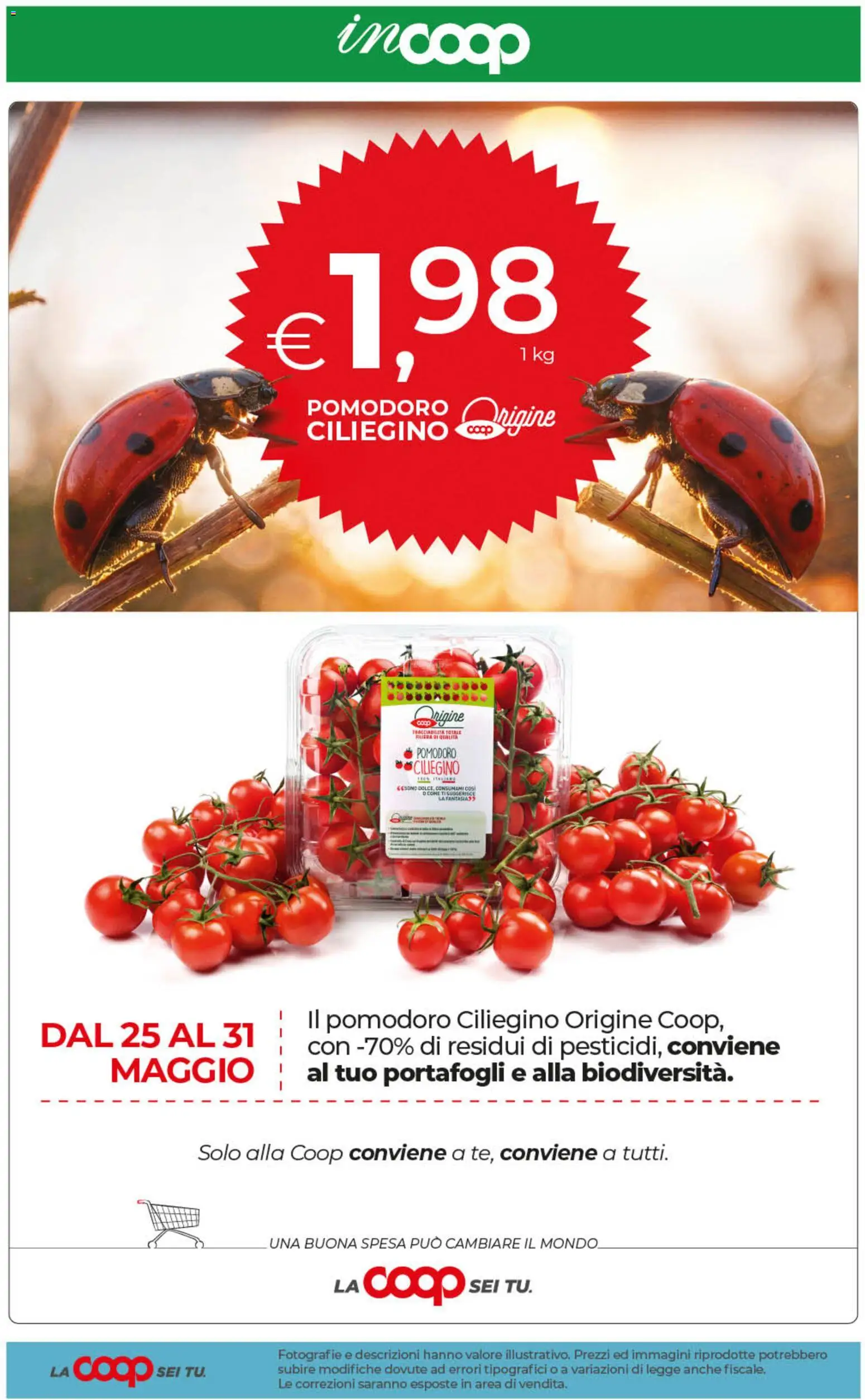 Volantino COOP del 29.05.2026 | Pagina: 21 | Prodotti: Pomodoro