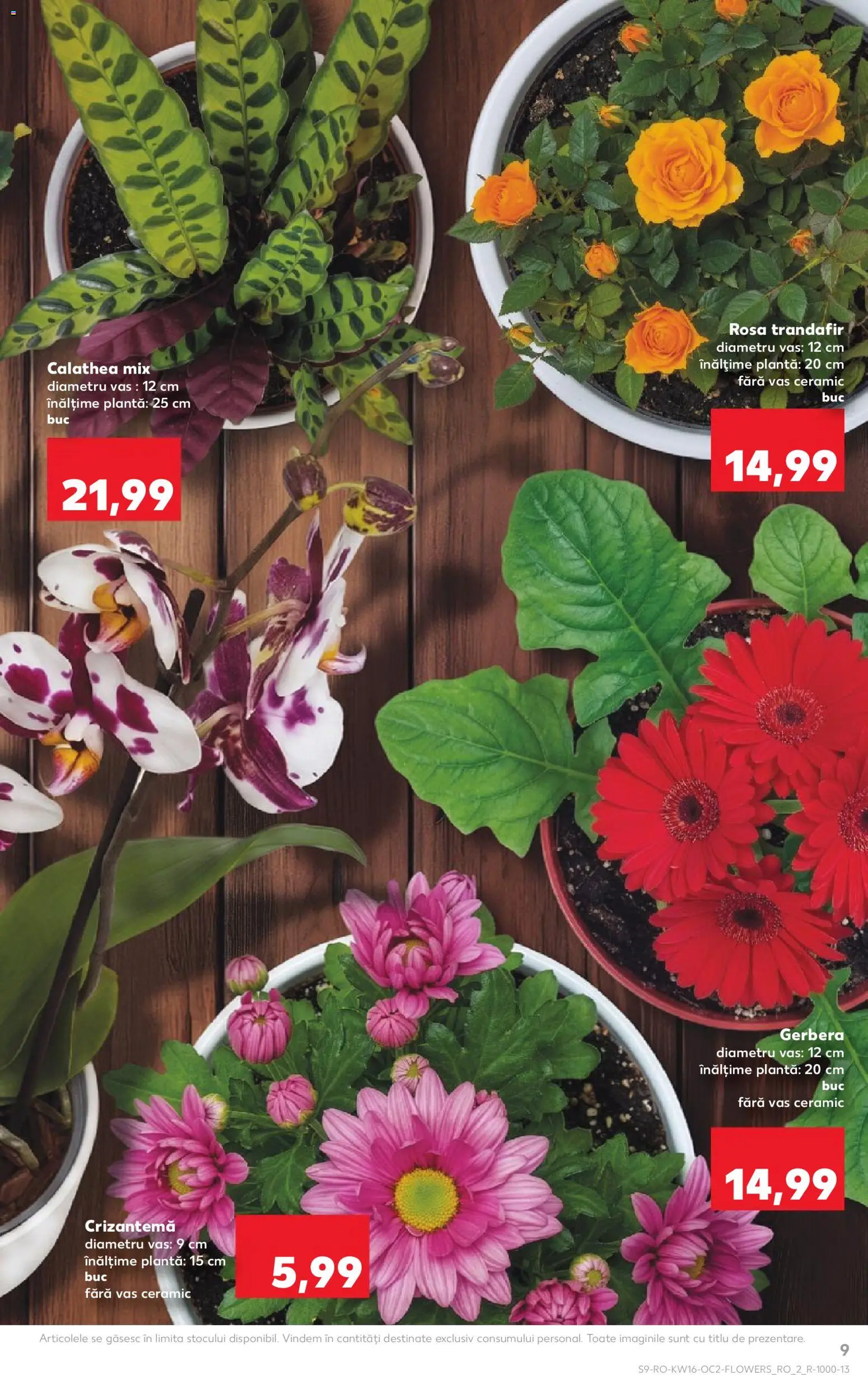 Kaufland RO akciós ujság - amely érvényes a következő dátumtól: 15.04.2026 | Oldal: 9