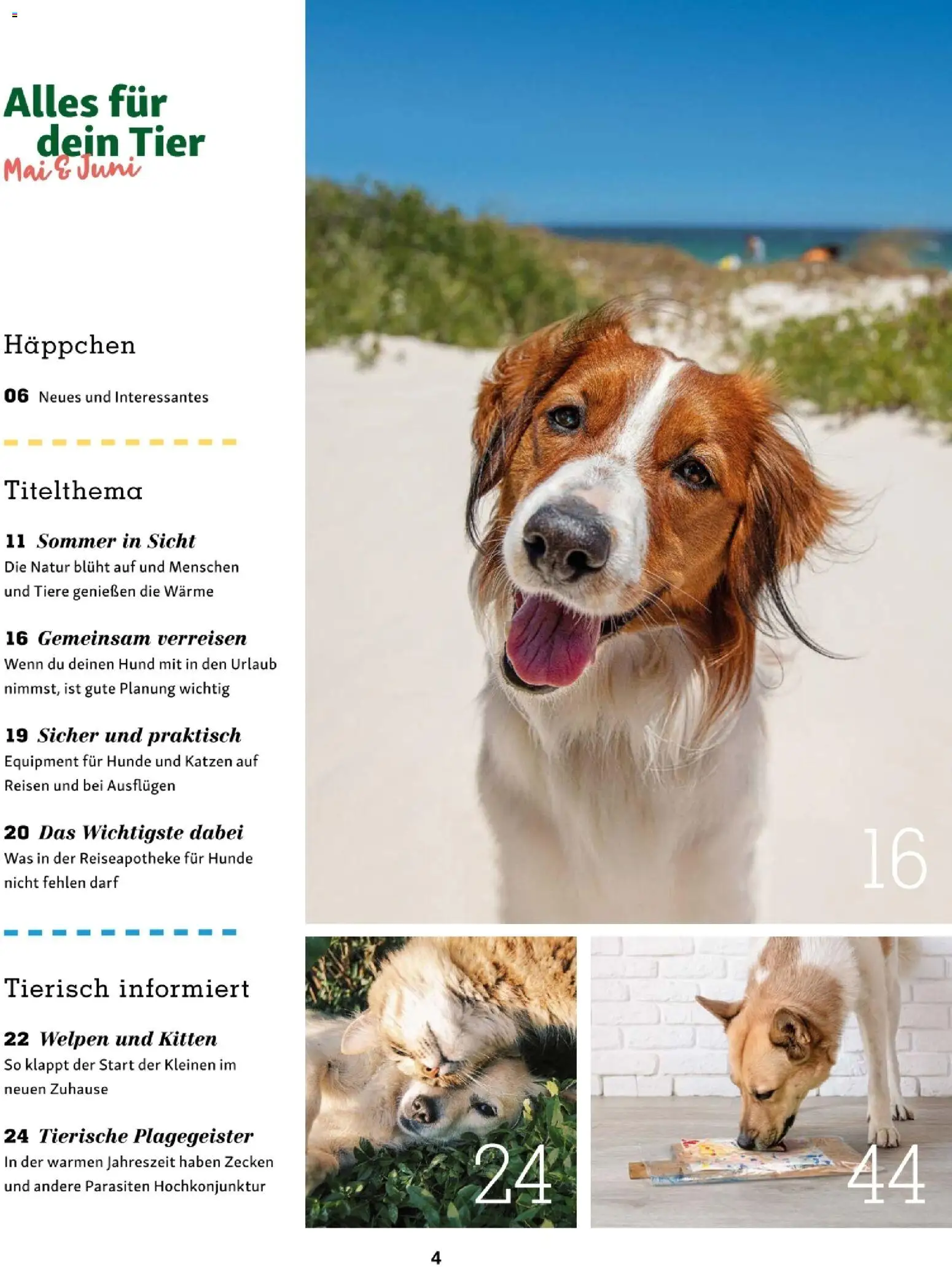 Fressnapf Friends 03/26 gültig ab 01.05.2026 | Seite: 4