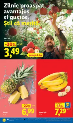 Ofertele Lidl valabile de la 11.05.2026 | Pagină: 24