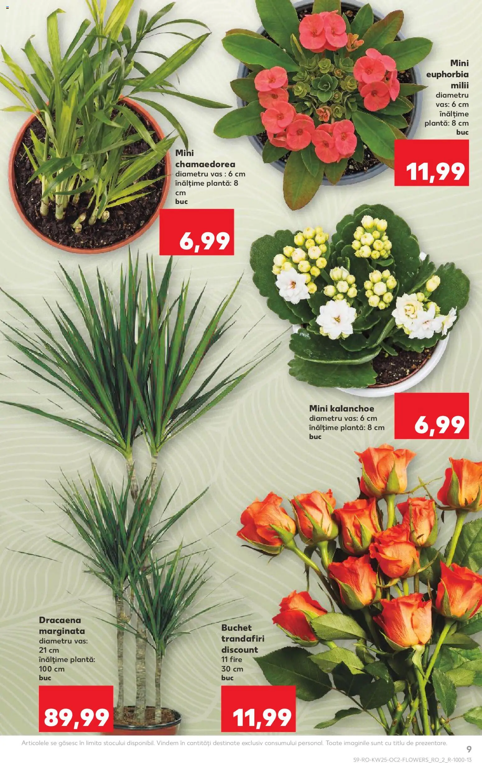 Noul catalog Kaufland – valabil de la 17.06.2026 | Pagină: 9