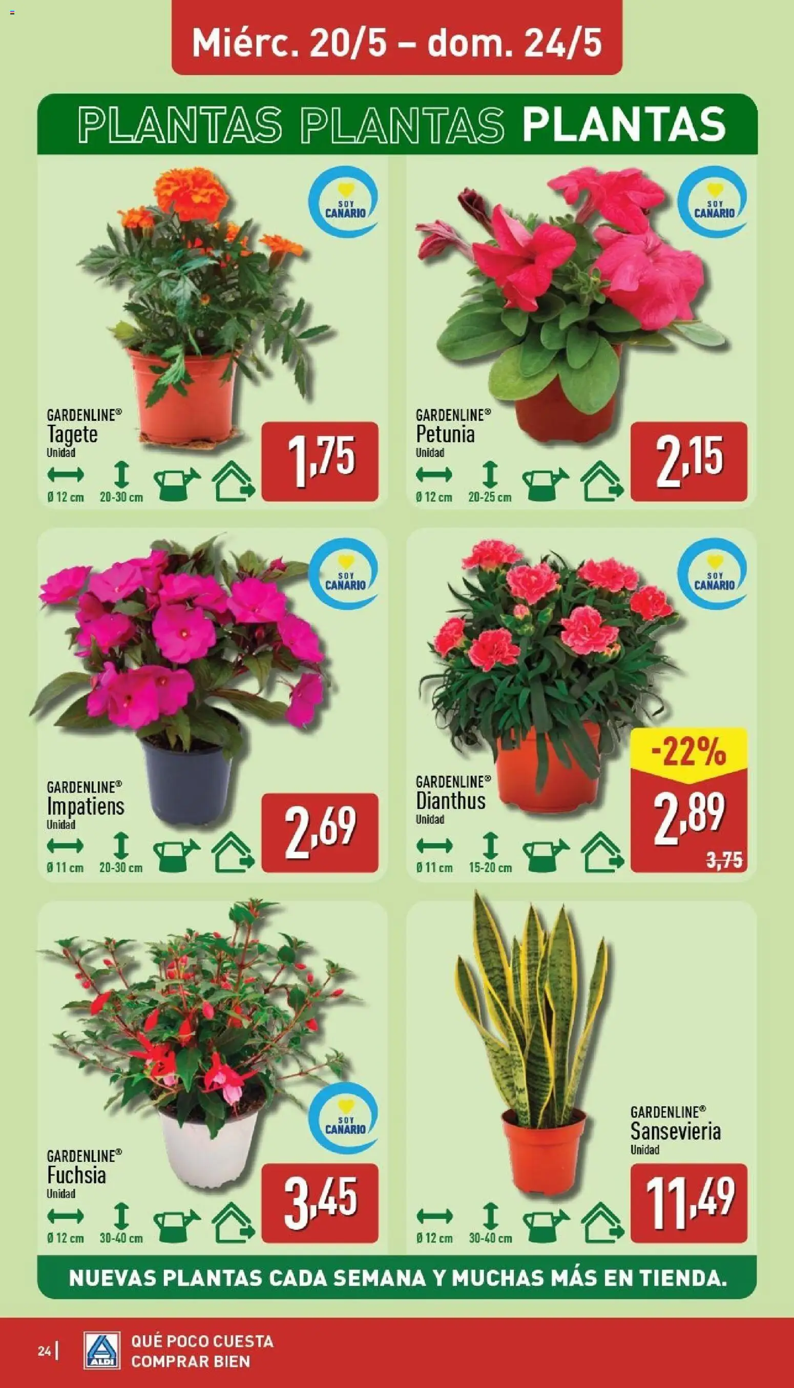 Aldi folleto Canarias │ válido desde el 18.05.2026 | Página: 24