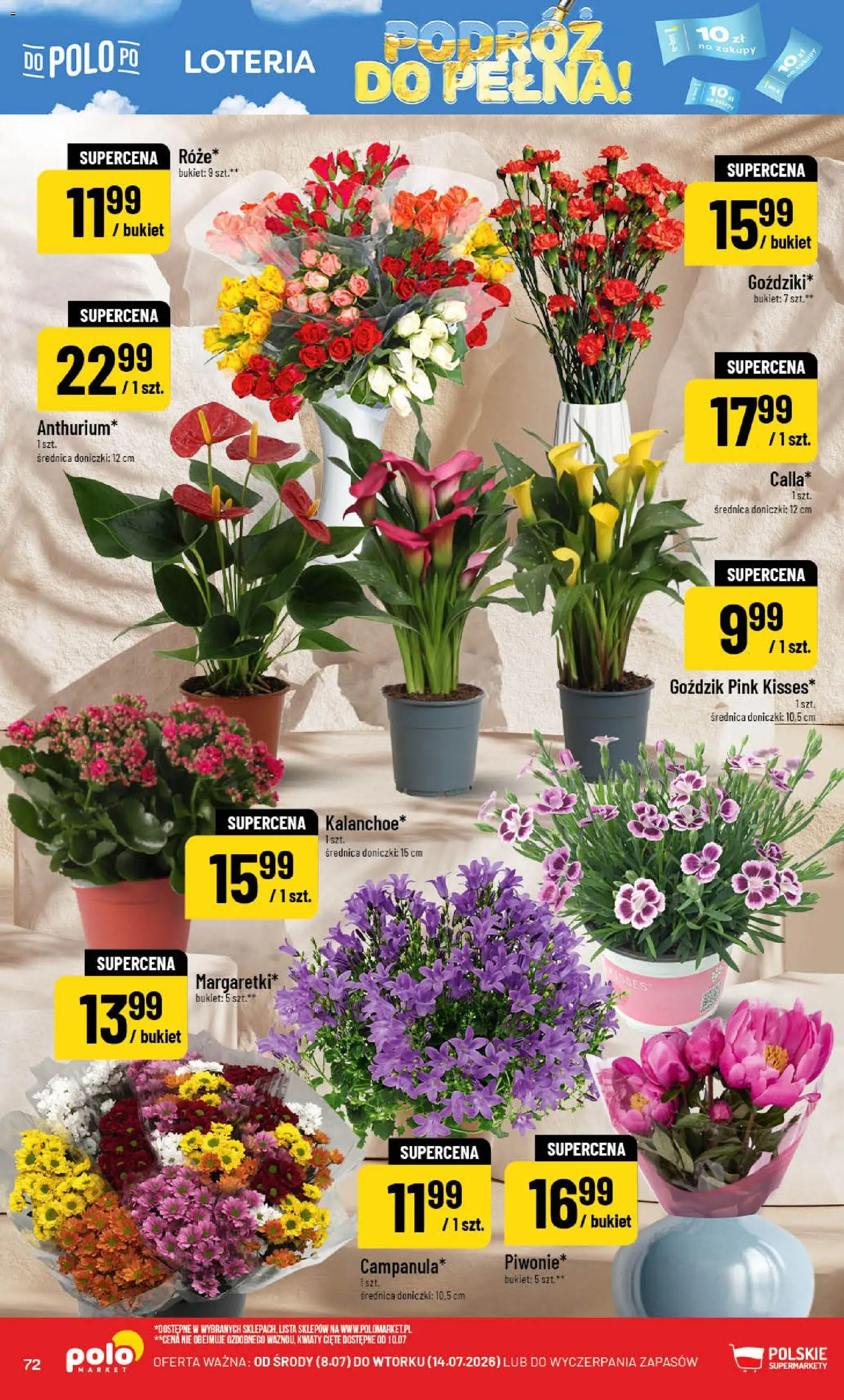 POLOmarket gazetka od 08.07.2026 | Strona: 72 | Produkty: Kwiaty cięte, Goździk, Doniczki, Kwiaty