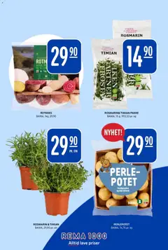 Forhåndsvisning av Rema 1000 kundeavis gyldig fra 21/09/2026 | Side: 21 | Produkter: Rosmarin, Timian