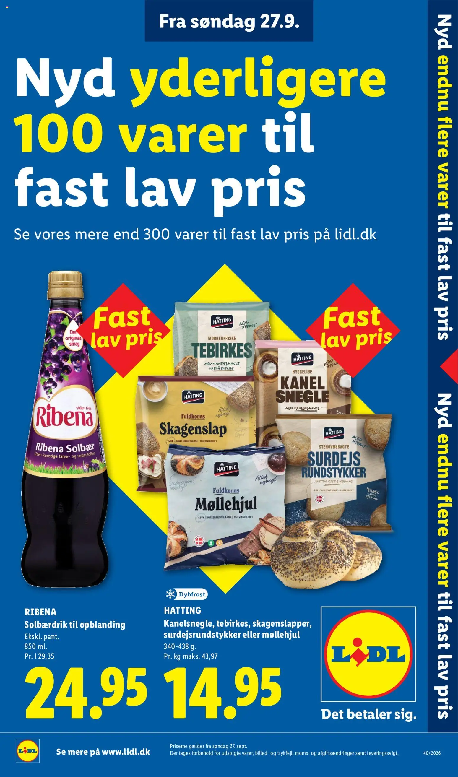 Lidl tilbudsavis – gyldig fra 27/09/2026 | Side: 2 | Produkter: Kanel, Tebirkes, Solbær