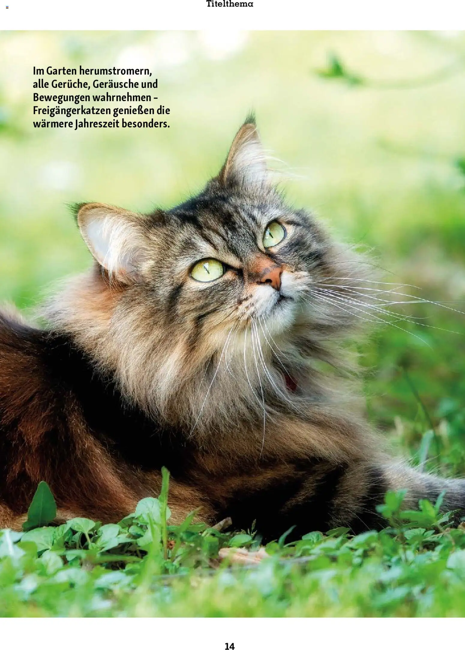 Fressnapf Friends Magazin – gültig ab 01.05.2026 | Seite: 14