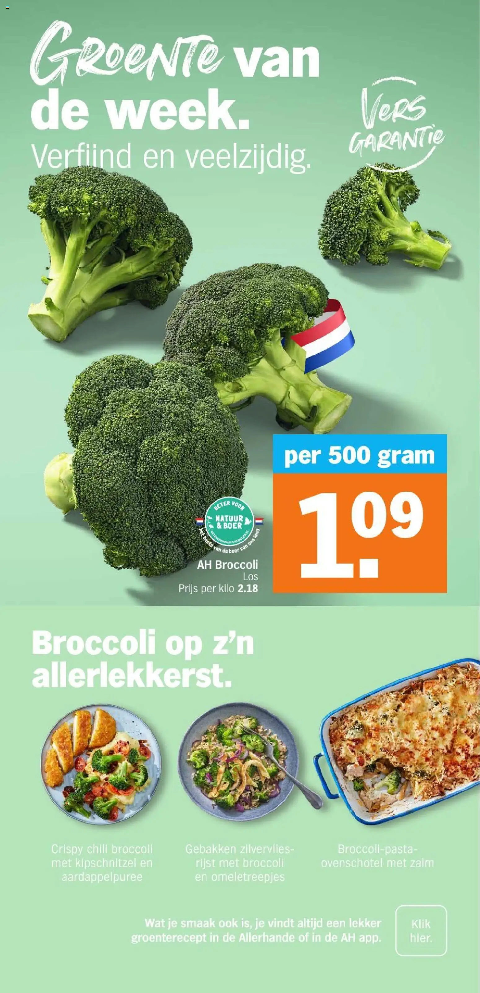 {H1} | Pagina: 9 | Producten: Broccoli, Rijst, Zalm, Chili