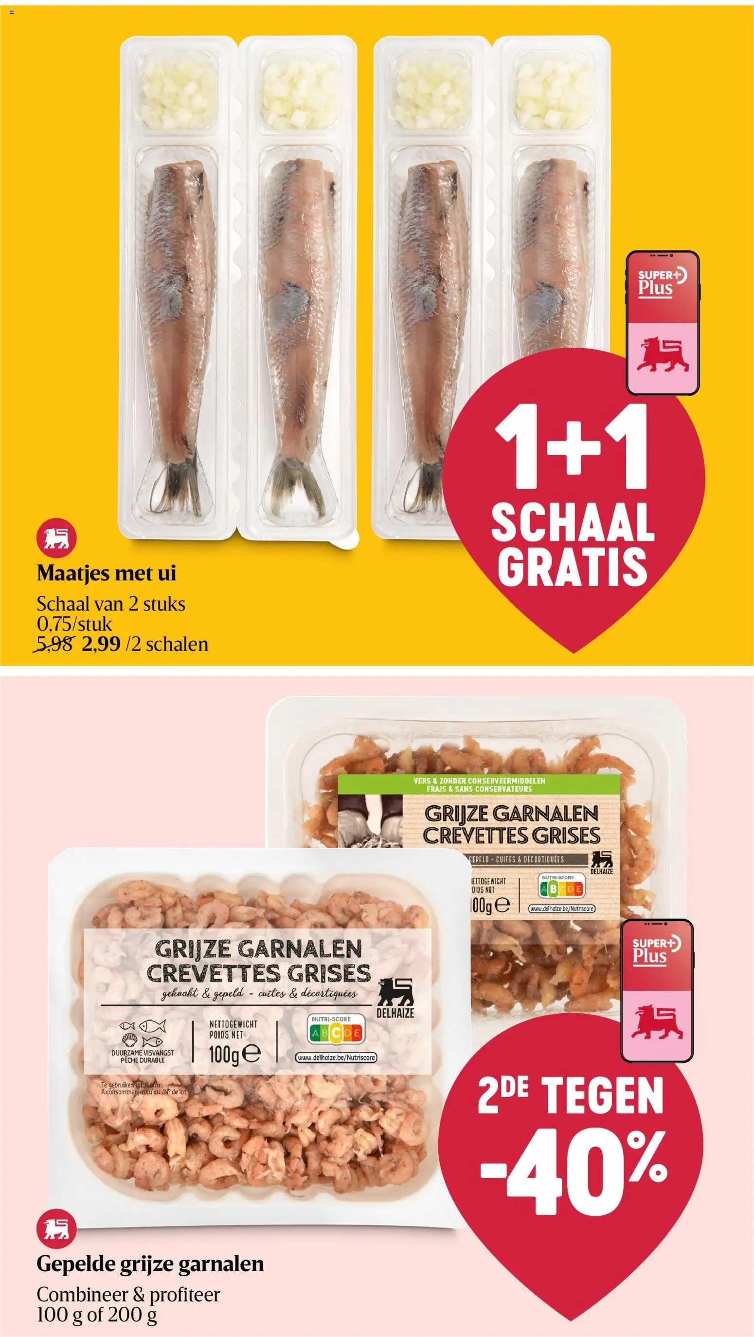 {H1} | Pagina: 24 | Producten: Ui, Kekszek, Schaal