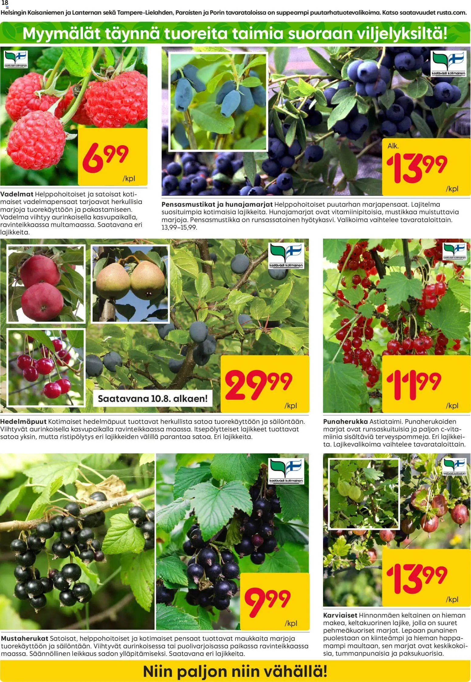Rusta tarjoukset – voimassa 03/08/2026 alkaen | Sivu: 18