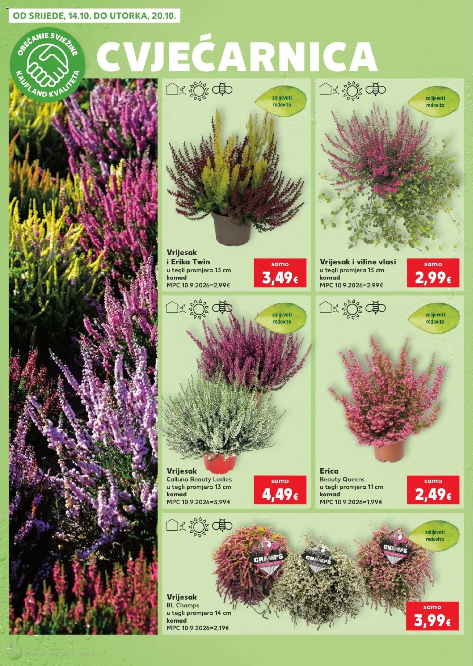 Kaufland katalog | vrijedi od 14.10.2026 | Stranica: 2 | Proizvodi: Vrijesak