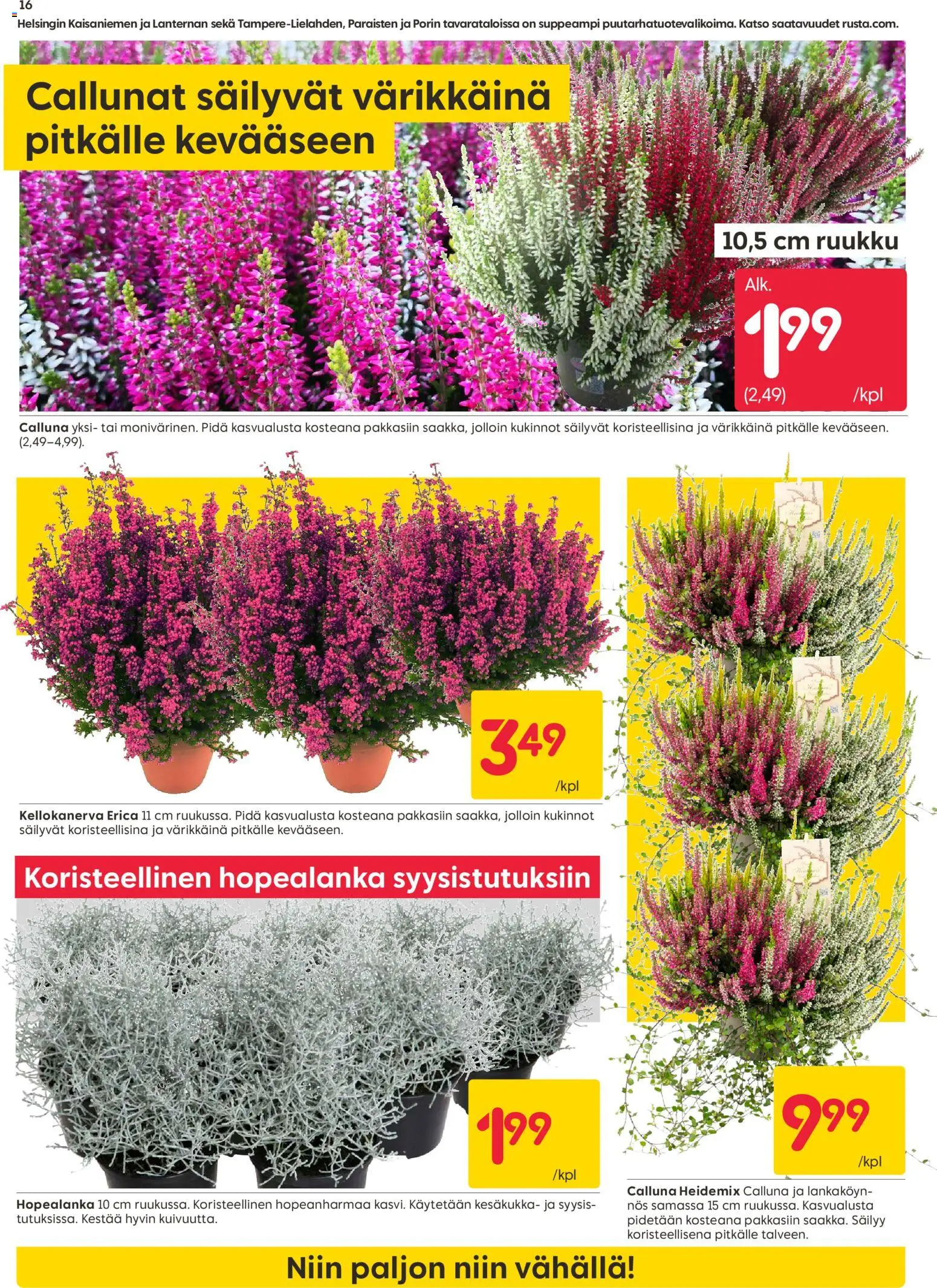 Rusta tarjoukset – voimassa 24/08/2026 alkaen | Sivu: 16