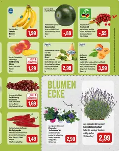 Feneberg Angebote ab 09.07.2026 gültig | Seite: 9 | Produkte: Trauben, Mango, Wassermelone, Lavendel