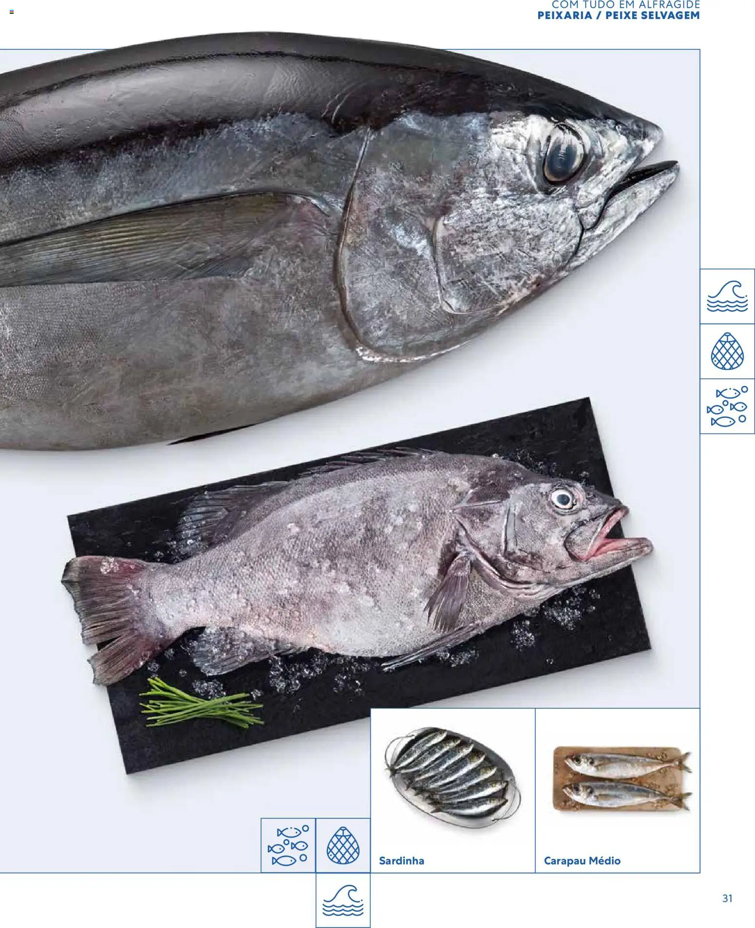 Recheio - Catálogo de Alfragide │ válido de 16/03/2026 | Página: 31 | Produtos: Peixe