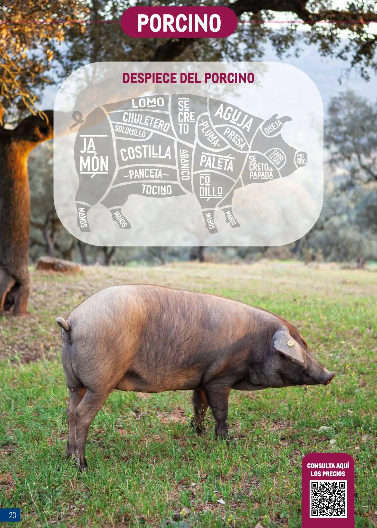 Makro Expertos en Carne Centro │ válido desde el 01.06.2026 | Página: 23 | Productos: Ηλεκτρικός φούρνος