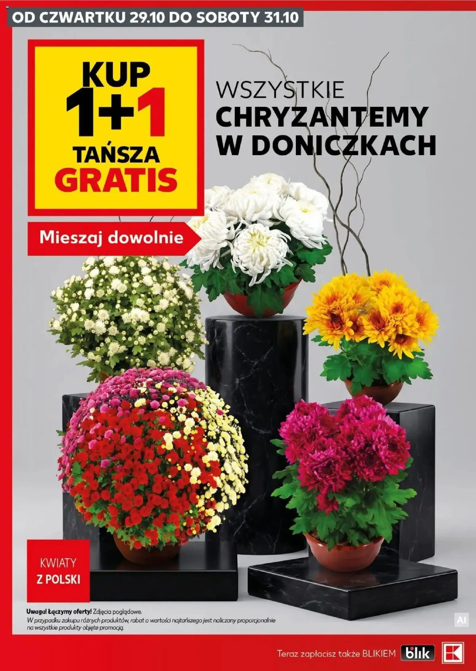 Kaufland Kaufland Katalog Znicze od 29.10.2026 - od jutra PDF | Strona: 18 | Produkty: Chryzantemy, Kwiaty
