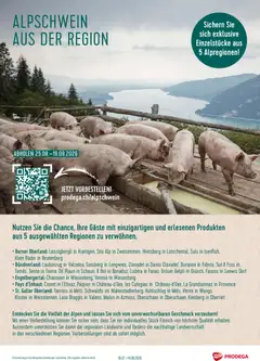 Prodega aktionen Alpschwein aus der Region ab 25.07.2026 gültig