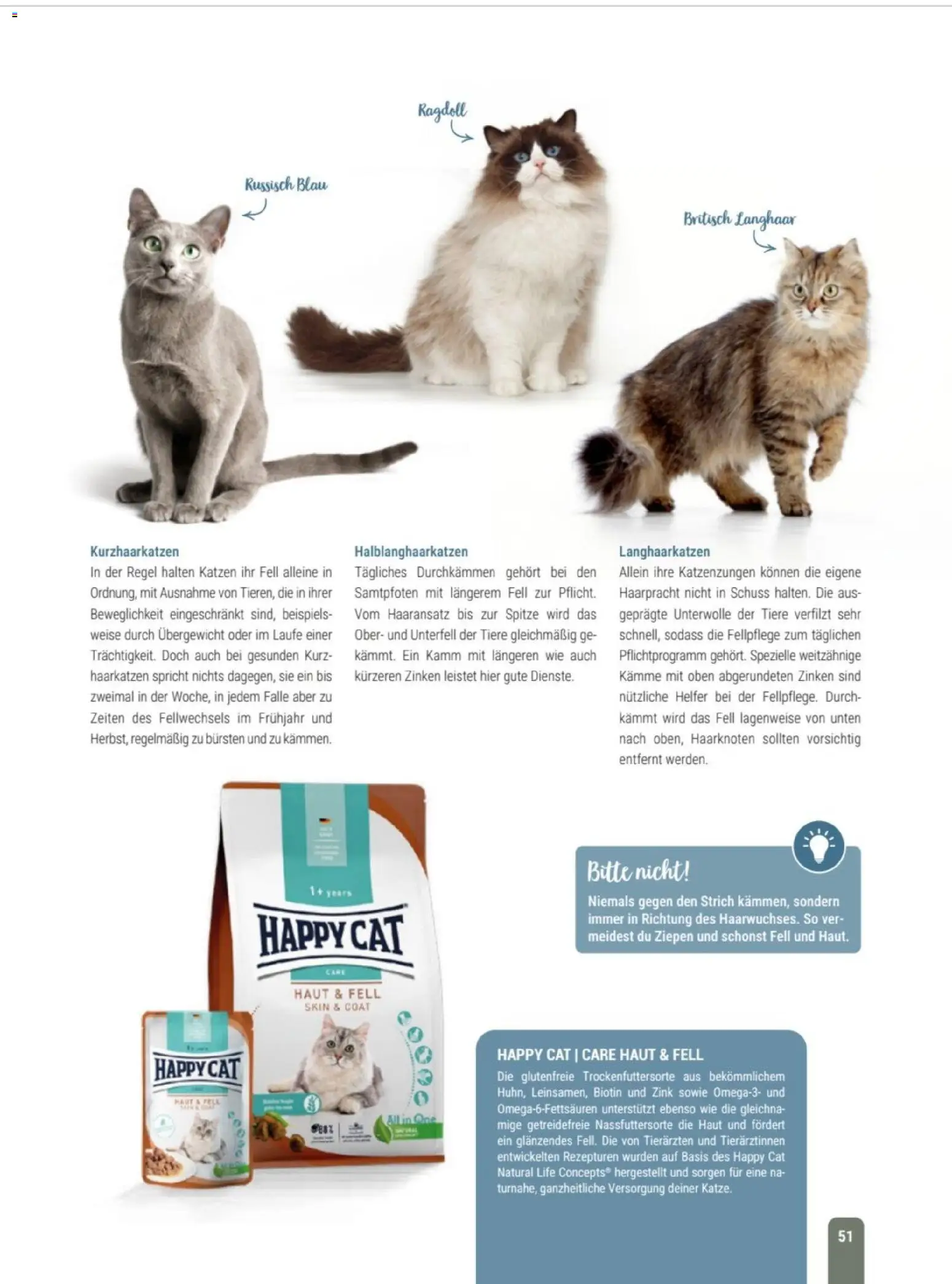 zookauf Themenkatalog Katze – gültig ab 01.10.2026 | Seite: 51