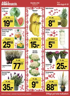 Abc Lavpris - Tilbudsavis gyldig fra 02/09/2026 | Side: 2