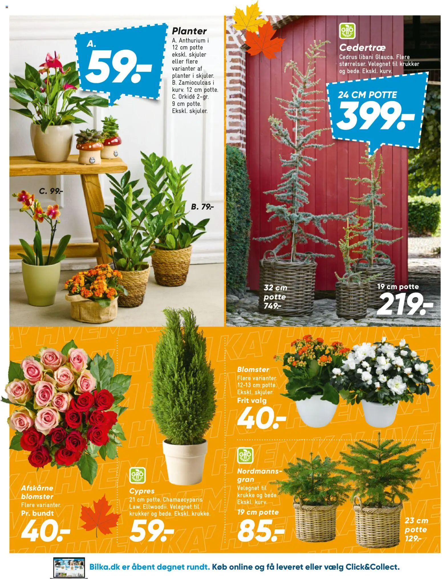 Bilka tilbudsavis – gyldig fra 16/10/2026 | Side: 37 | Produkter: Krukke