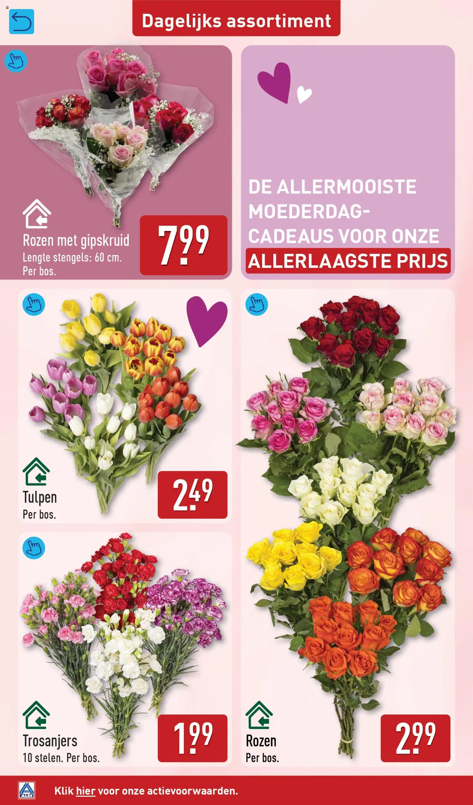 Nieuwe » Aldi folder voor Mei « is er! Ontdek geweldige aanbiedingen en bespaar. | Nederland